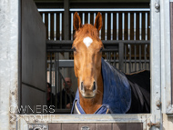 BP200326-79 - It's Hard To Know